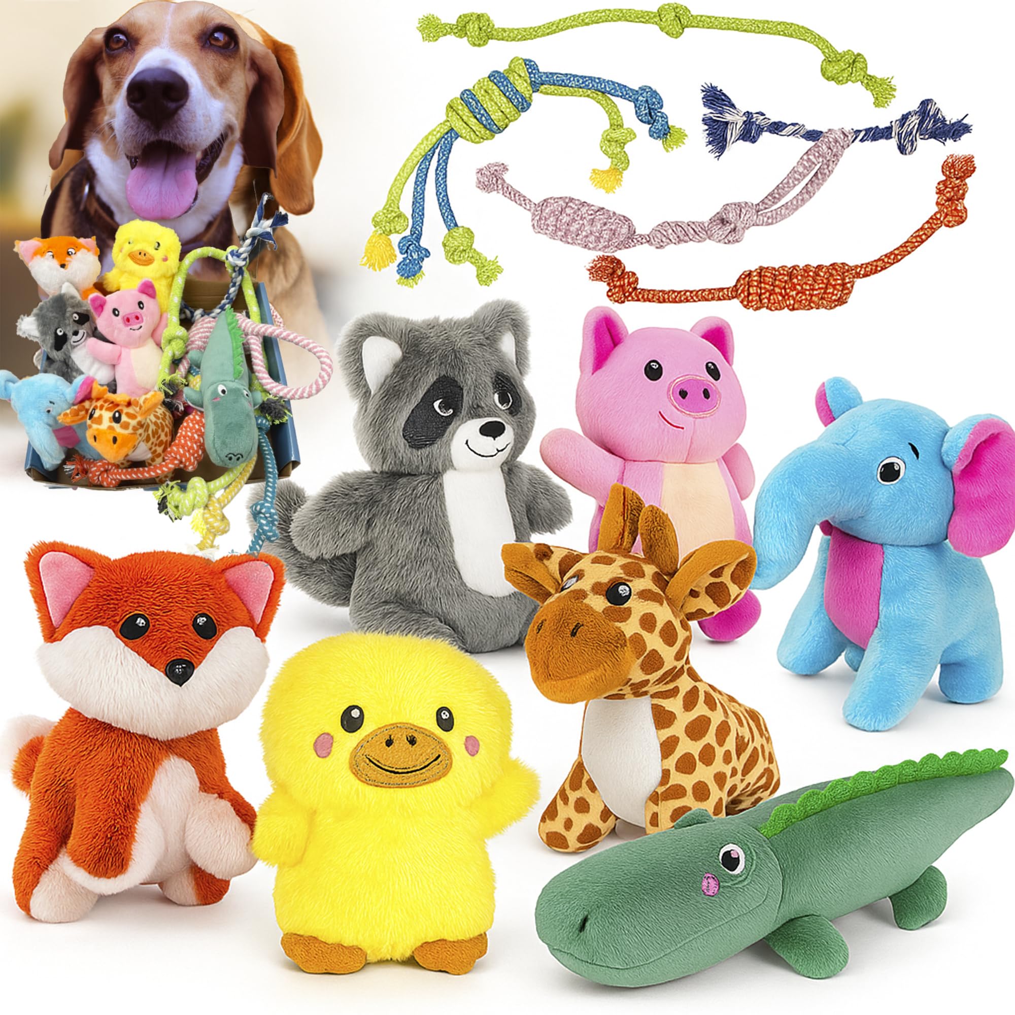 Jalousie juguete peluche con sonajero para perros, ideal para juego diario.