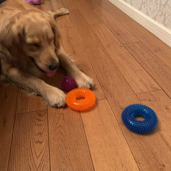Jalousie juguete perro espinas para limpieza dental suave durante la masticación.