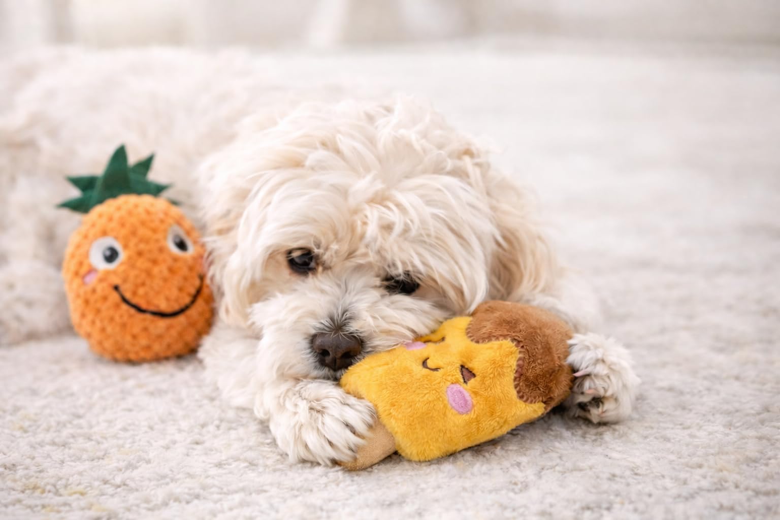 Jalousie pato peluche con chirriador para perros pequeños