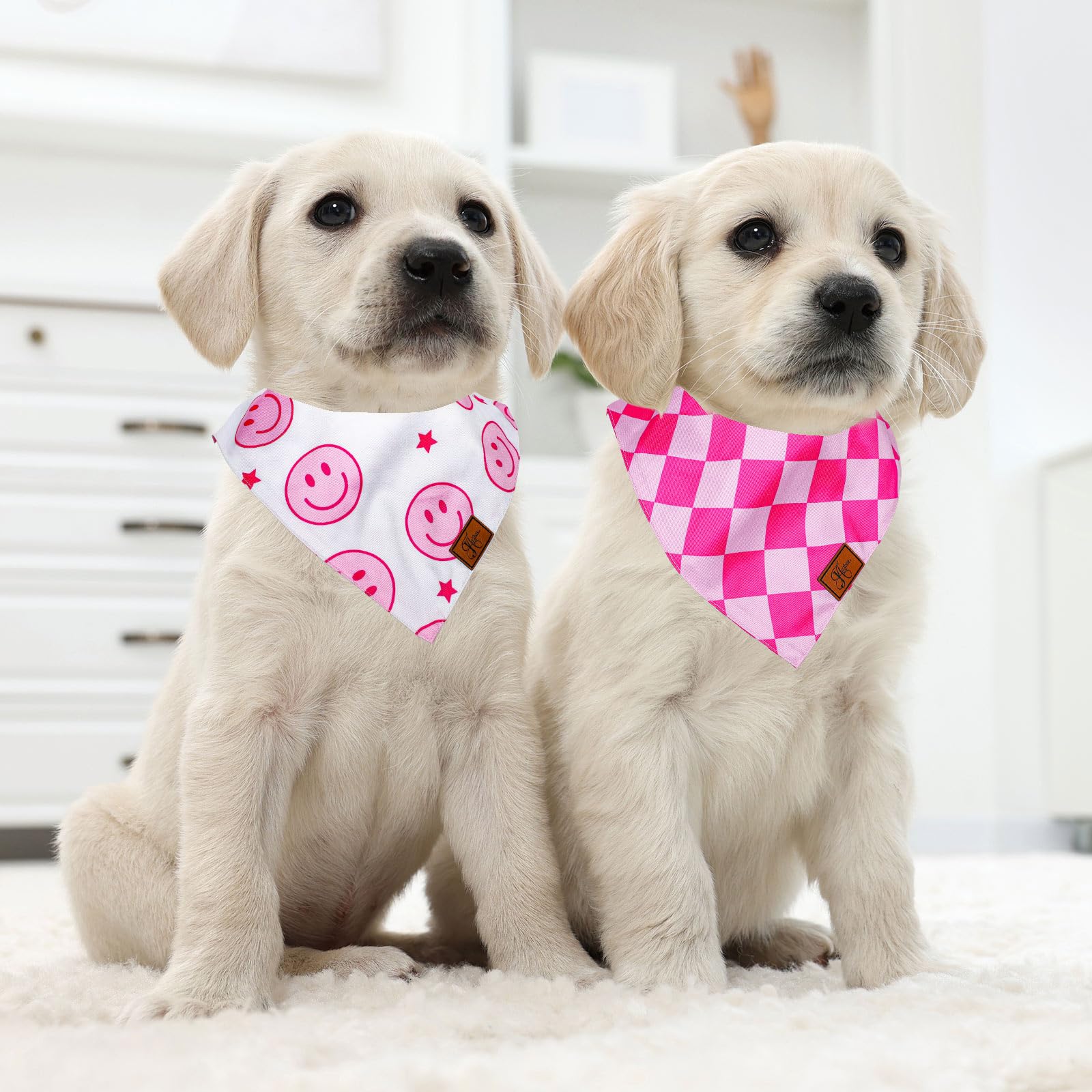 Bandana JarThenaAMCS, regalo ideal para ocasiones especiales con mascotas.