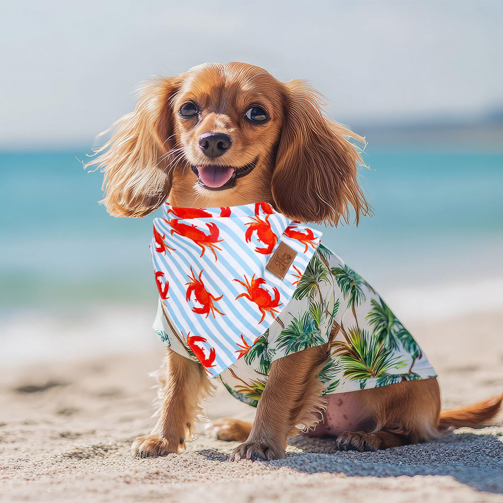 Bandana para playa de JarThenaAMCS, perfecta para decoraciones temáticas