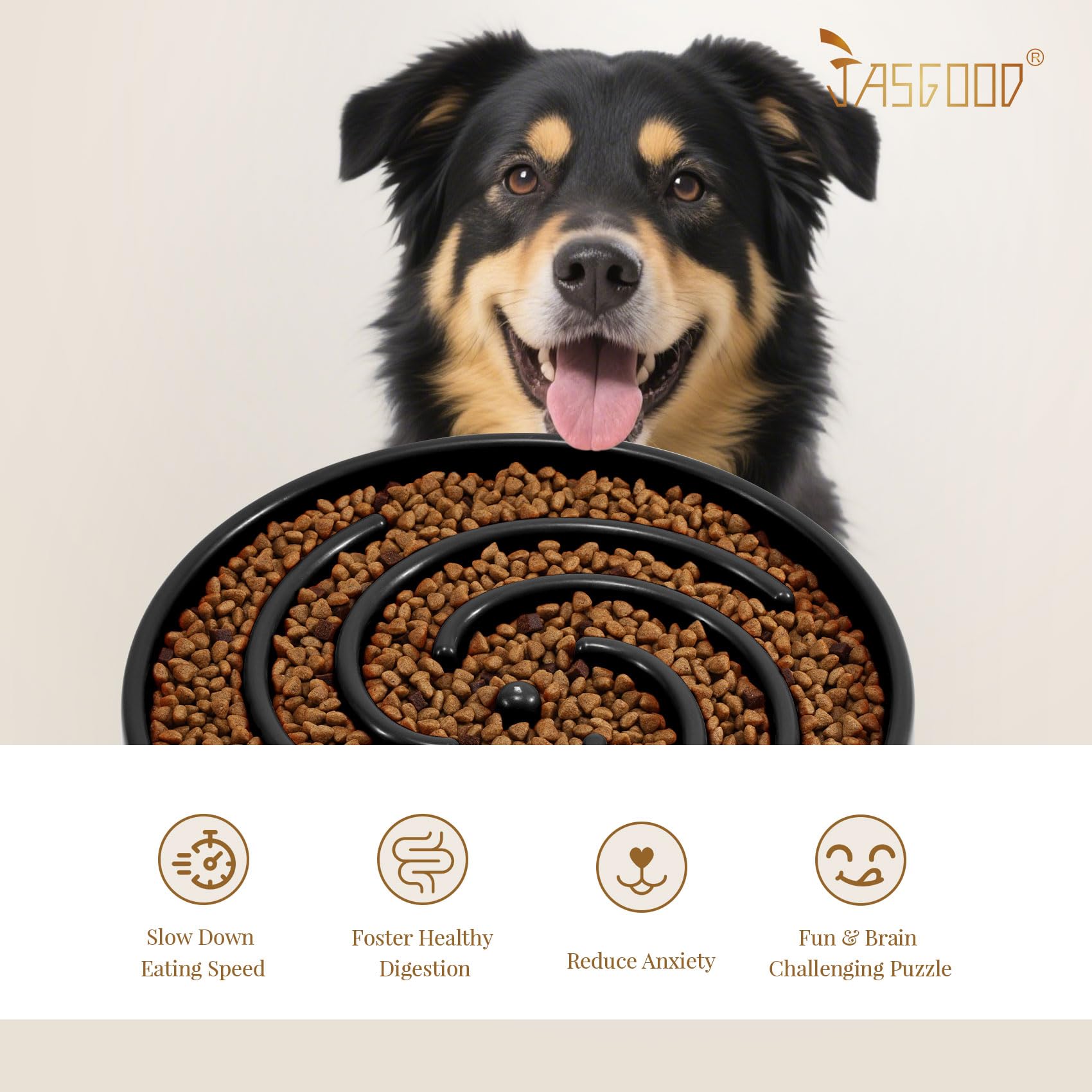 Bol JASGOOD diamètre 24 cm, adapté pour chiens moyens et grands