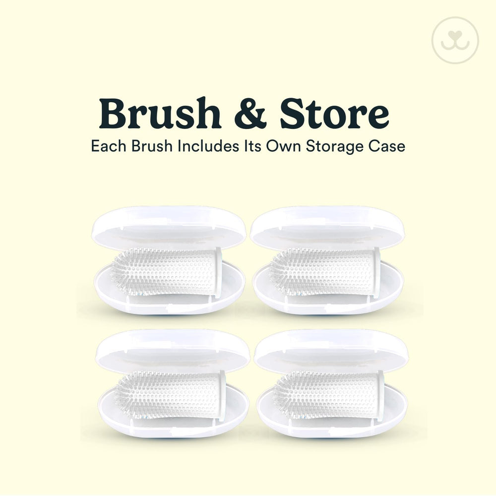 Cepillo Jasper para mascotas sin pasta dental necesaria.