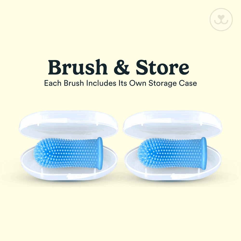 Jasper etuis-rangement-2-pack: rangement hygiénique du kit.