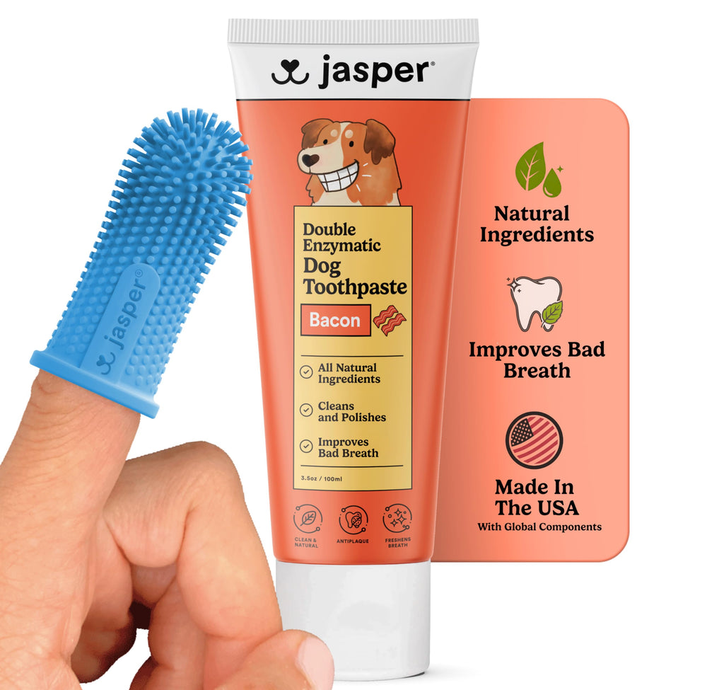 Jasper kit cepillado dental para perros, mejora la higiene oral diaria.