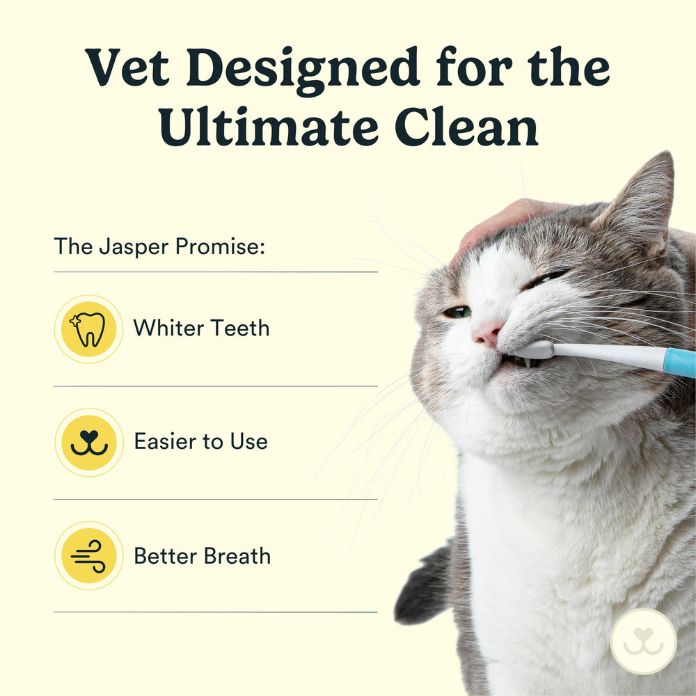 Jasper Microbrush elevador de labios facilita la inserción