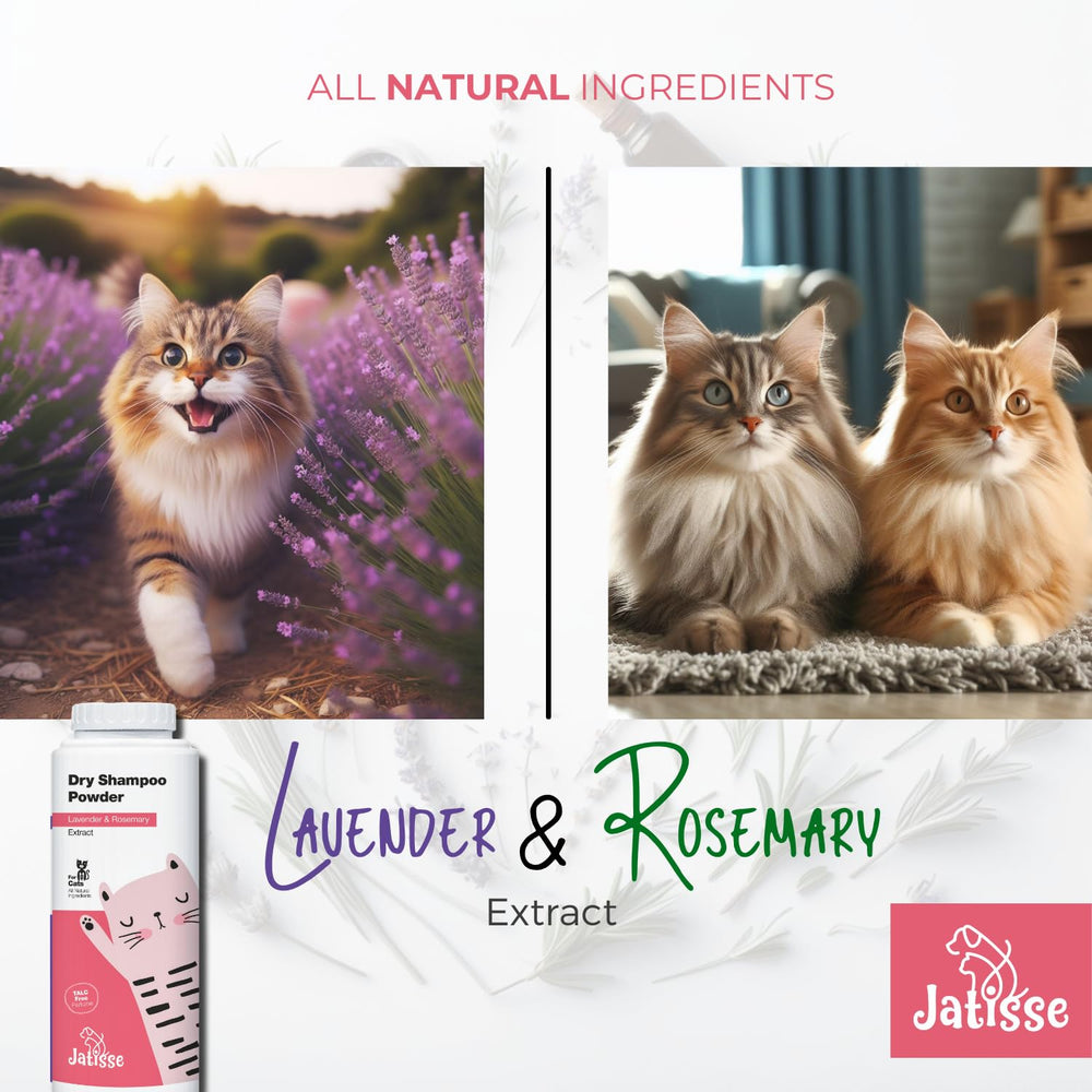 Aroma natural de lavanda y romero con Jatisse para gato durante el cepillado.