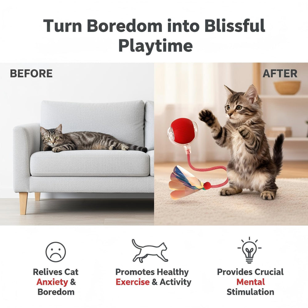 JBD Cola señuelo desmontable para activar instintos de caza del gato