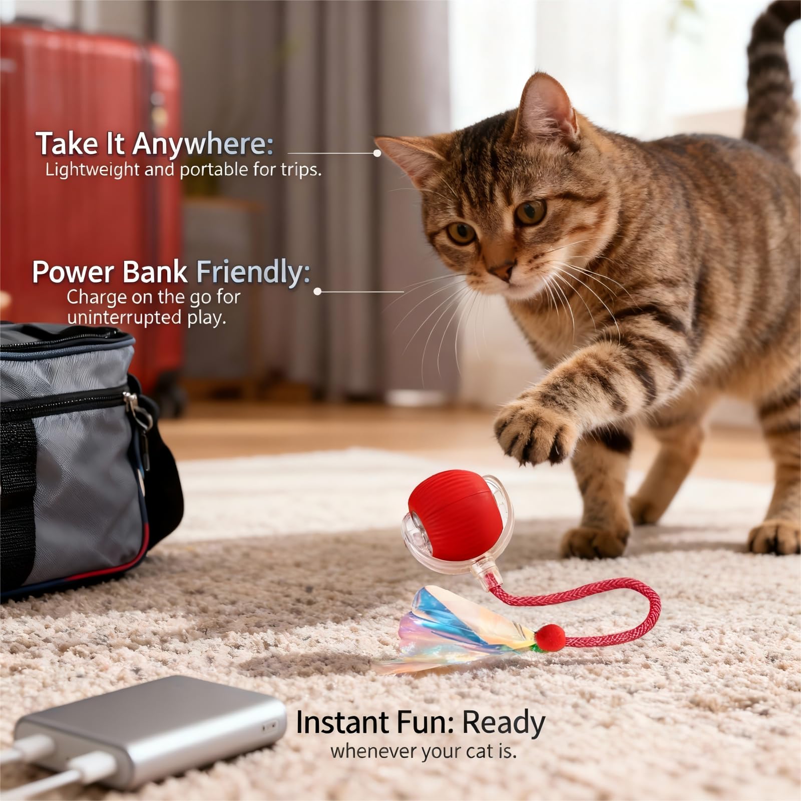 JBD Regalo ideal para gatos activos o aburridos