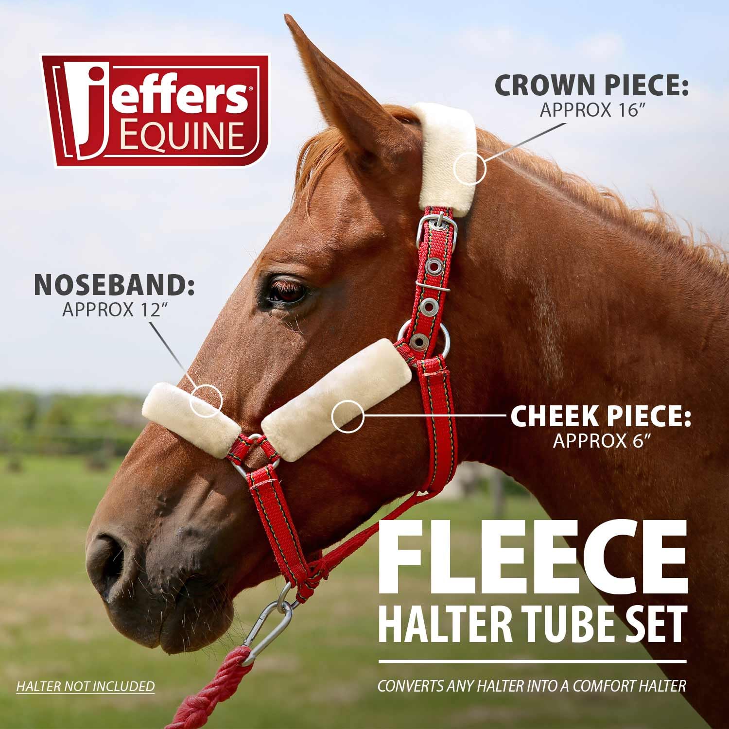 Uso durante traslado con protección suave para el caballo Jeffers Equine.