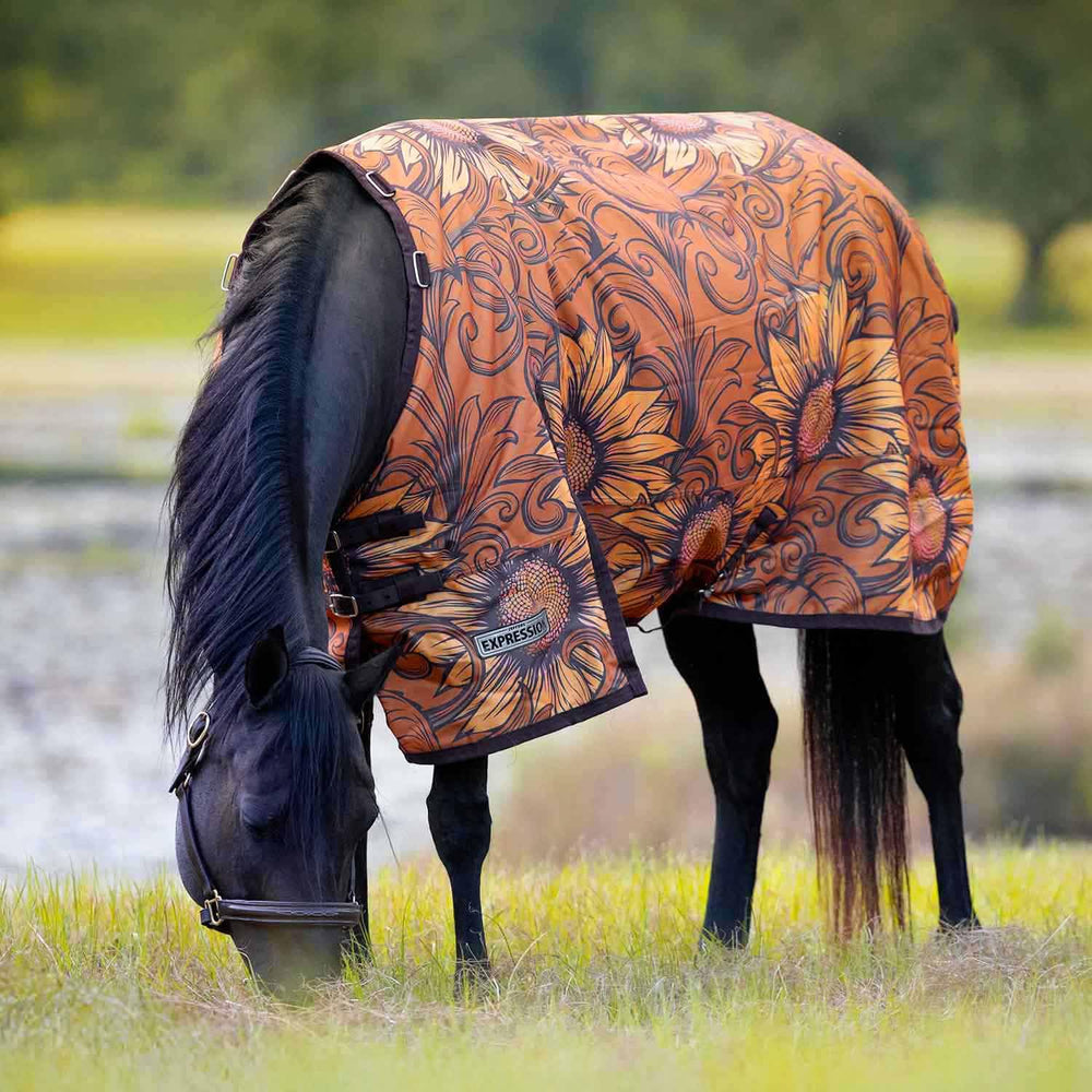 Manta para caballo Jeffers Expression con aislamiento de 240 g para frío.