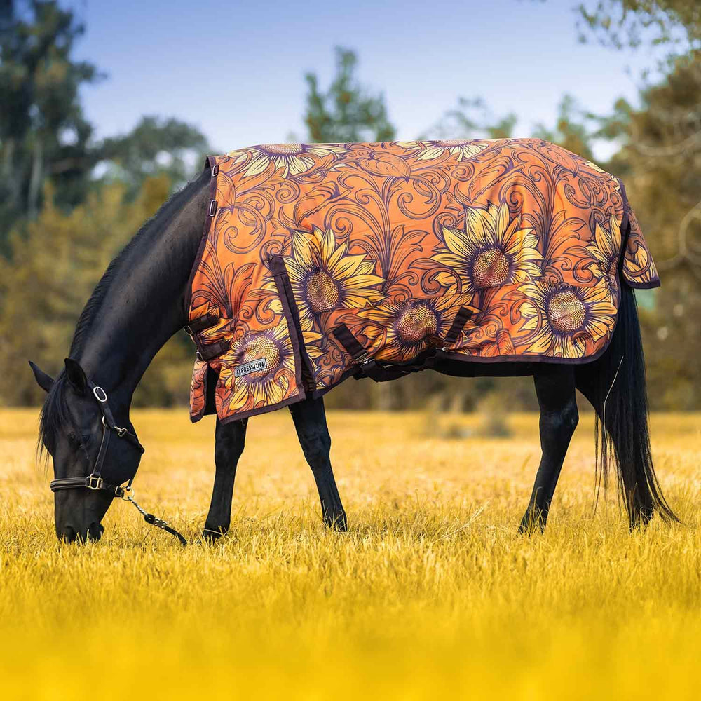 Manta Jeffers Expression externa impermeable y transpirable protege al caballo en climas fríos.