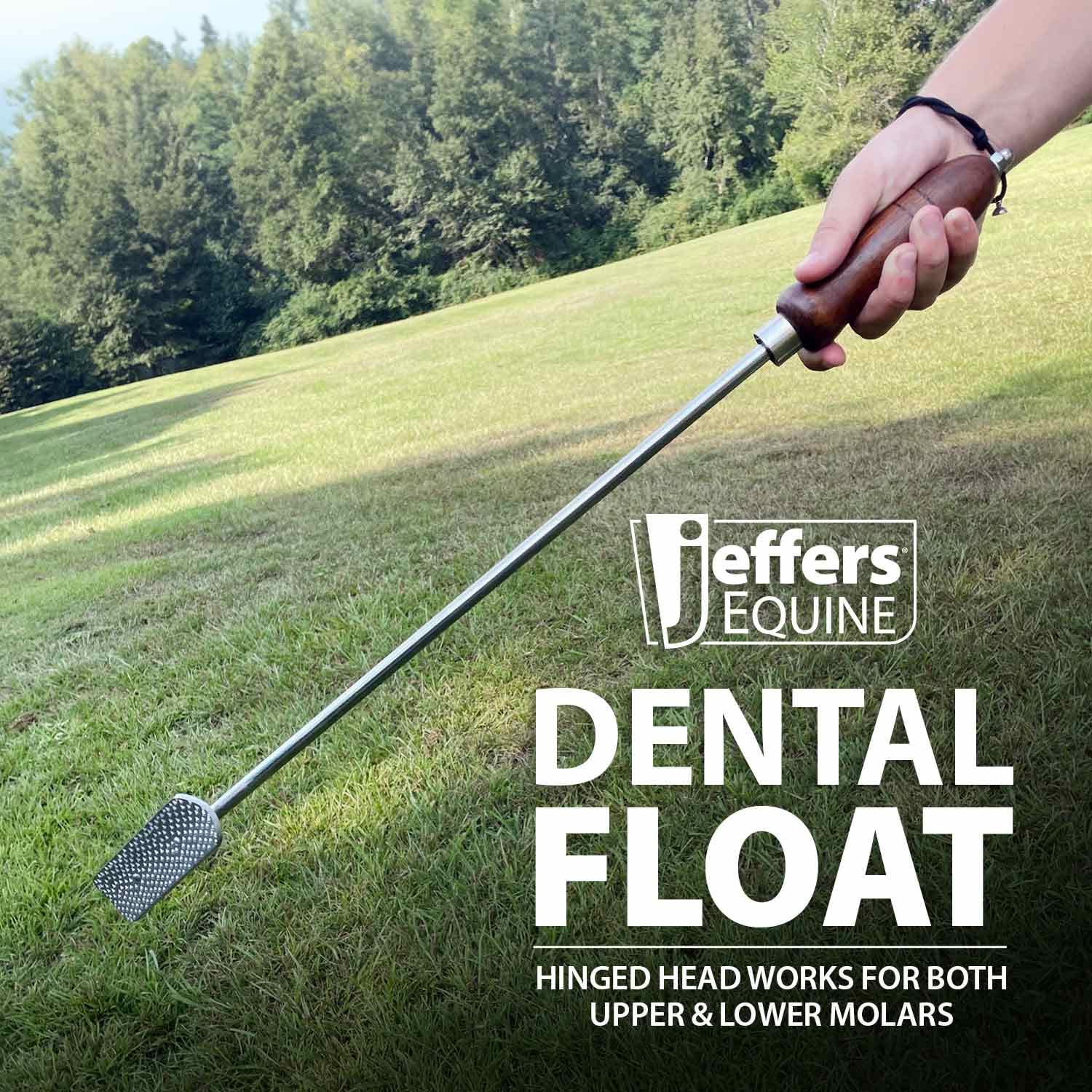 Jeffers flotador dental hoja cóncava para contacto suave