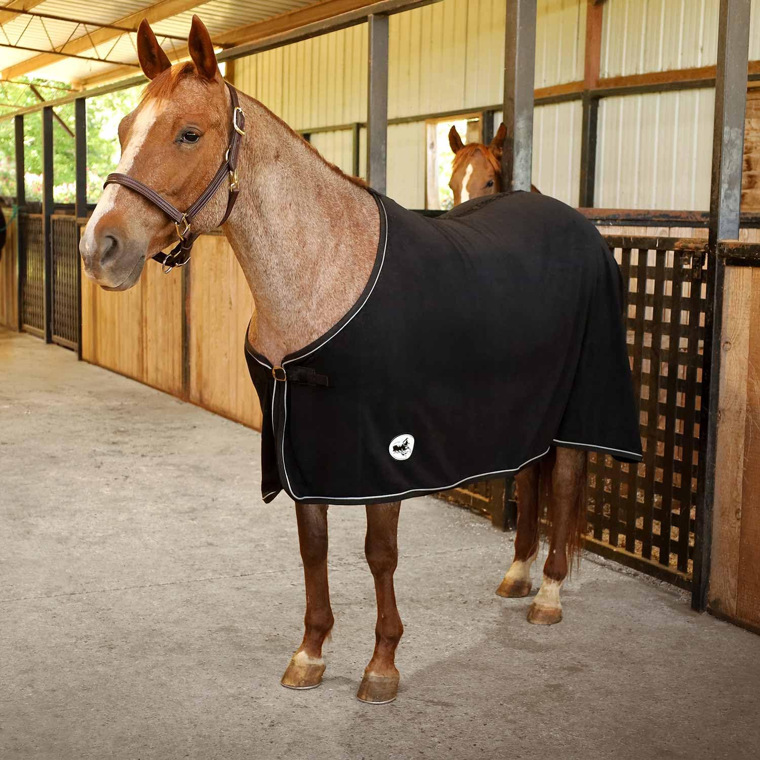 Jeffers manta-caballo-frente: cobertura total para uso invernal y ajuste cómodo.