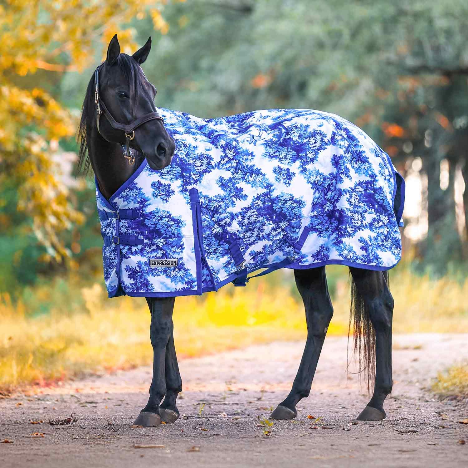 Manta Jeffers Expresión frente: protección contra salpicaduras y frío para caballos