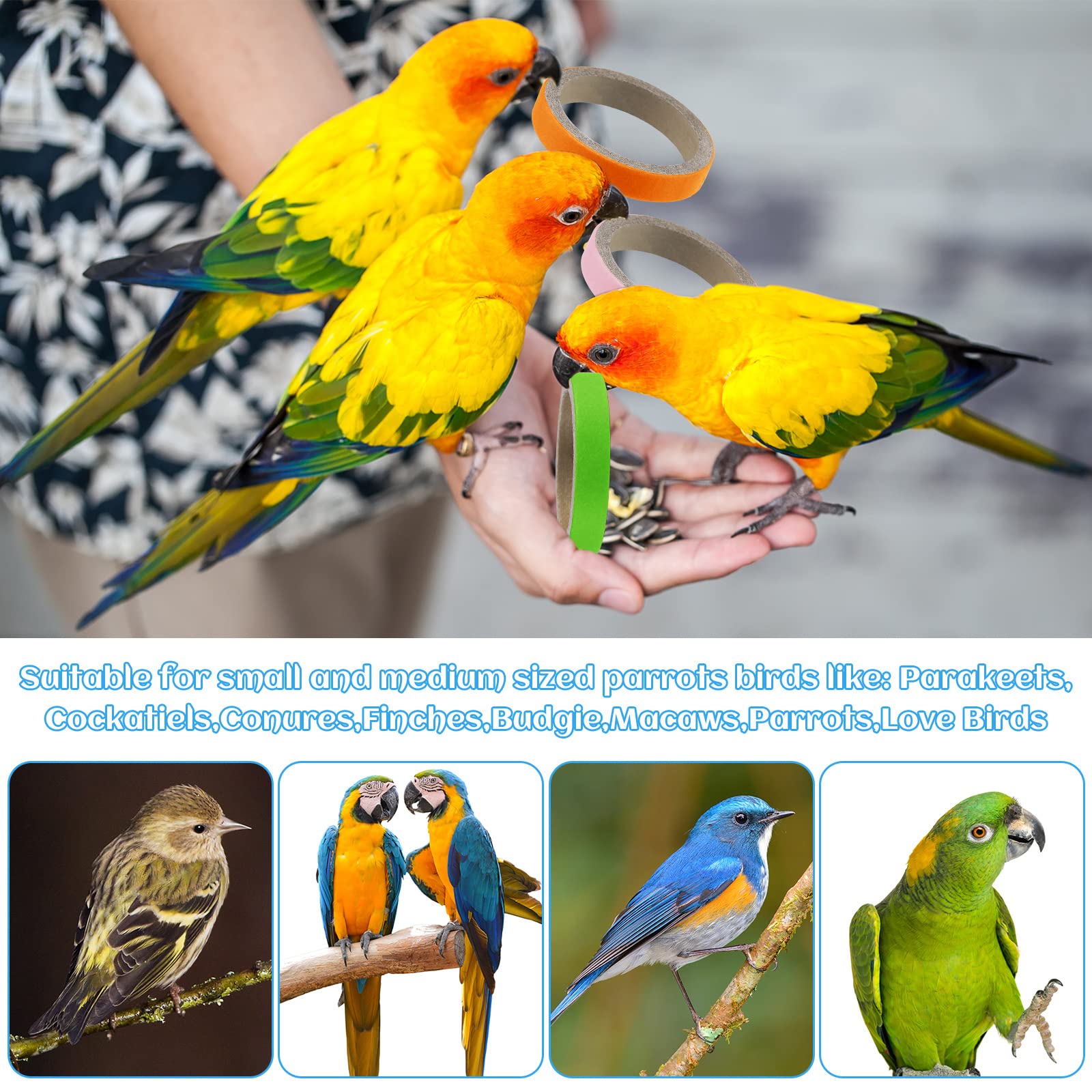 Jenaai: enriquecimiento para aves, fomenta forrajeo y distracción saludable.