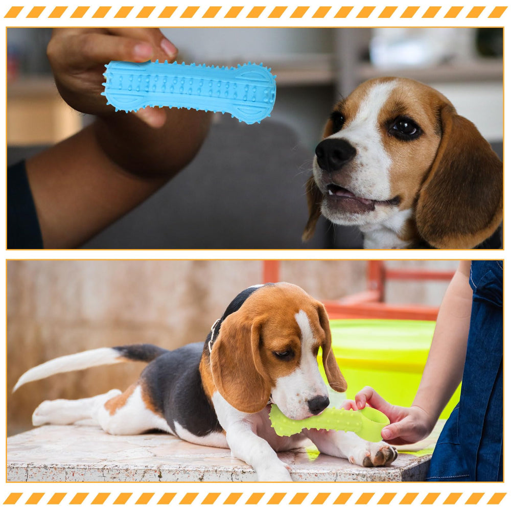 Jenaai: mordedor para dientes, canaliza la curiosidad del cachorro.