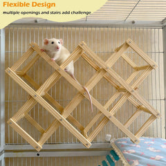 Jevnd diseño modular de madera para ratas, ofrece múltiples accesos y retos.