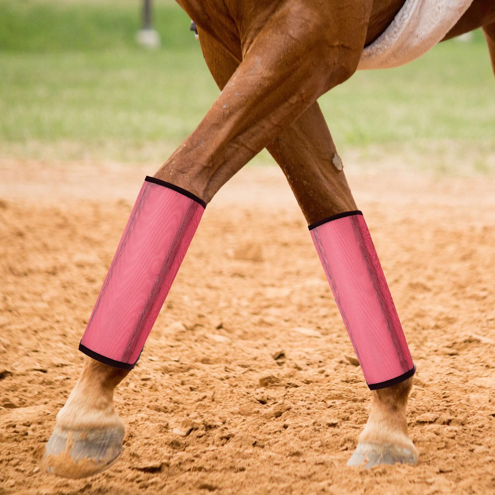 La bota Jexine con ajuste sencillo ofrece fijación estable para caballos.