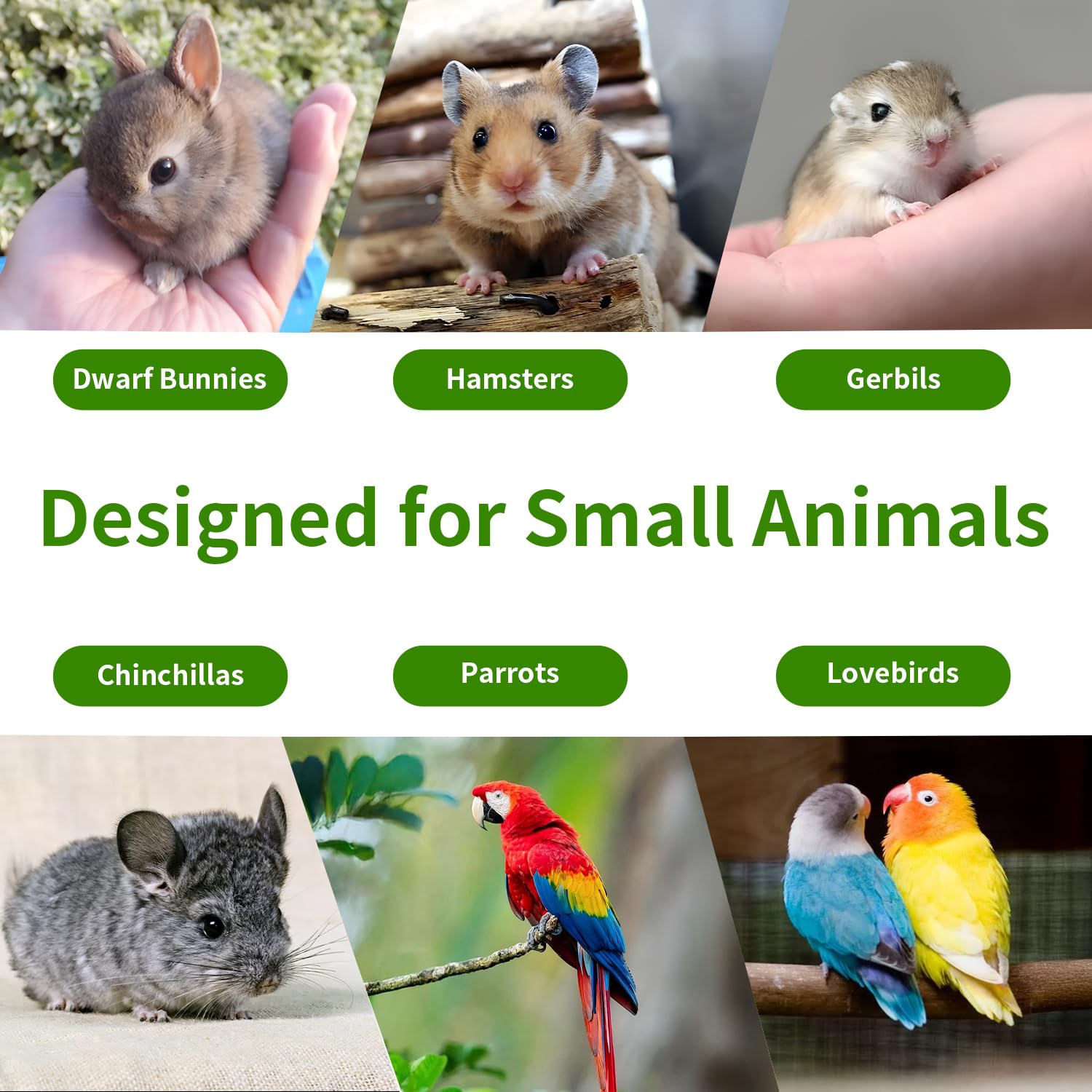 Diseño natural Jiaxix que complementa el hábitat de la mascota.
