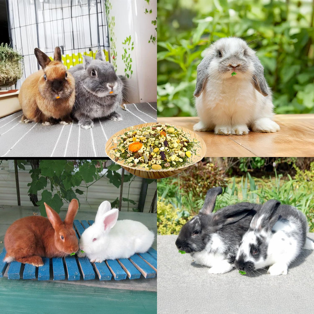 Jiaxix cuenco para mascotas pequeñas, ecológico y práctico para el hogar.