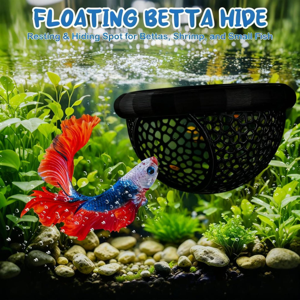 Jieting anillo de alimentación flotante, punto de alimentación seguro y estable.