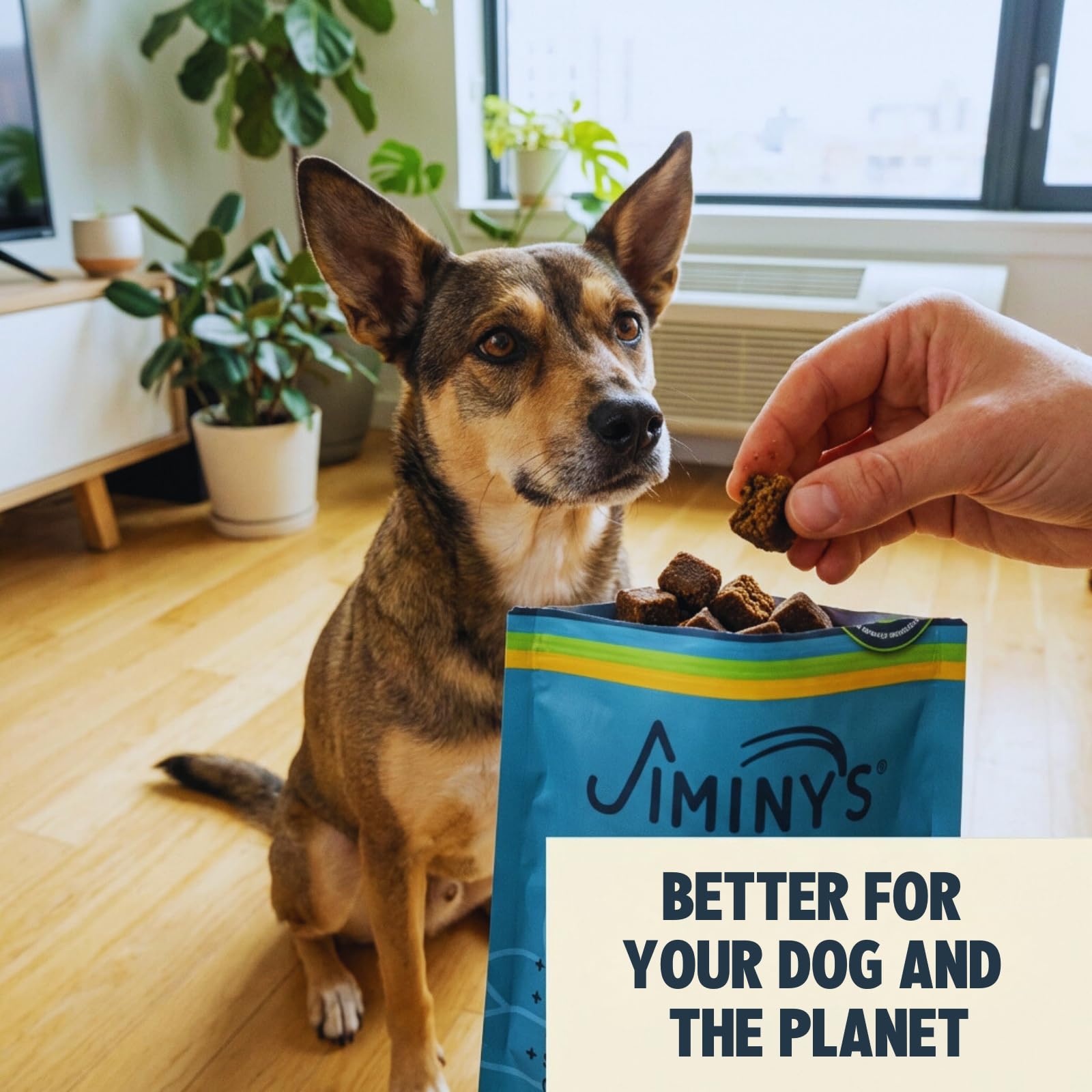 Jiminy's Chewy Training Treats, protéine insecte, digeste et adaptée aux chiens sensibles.