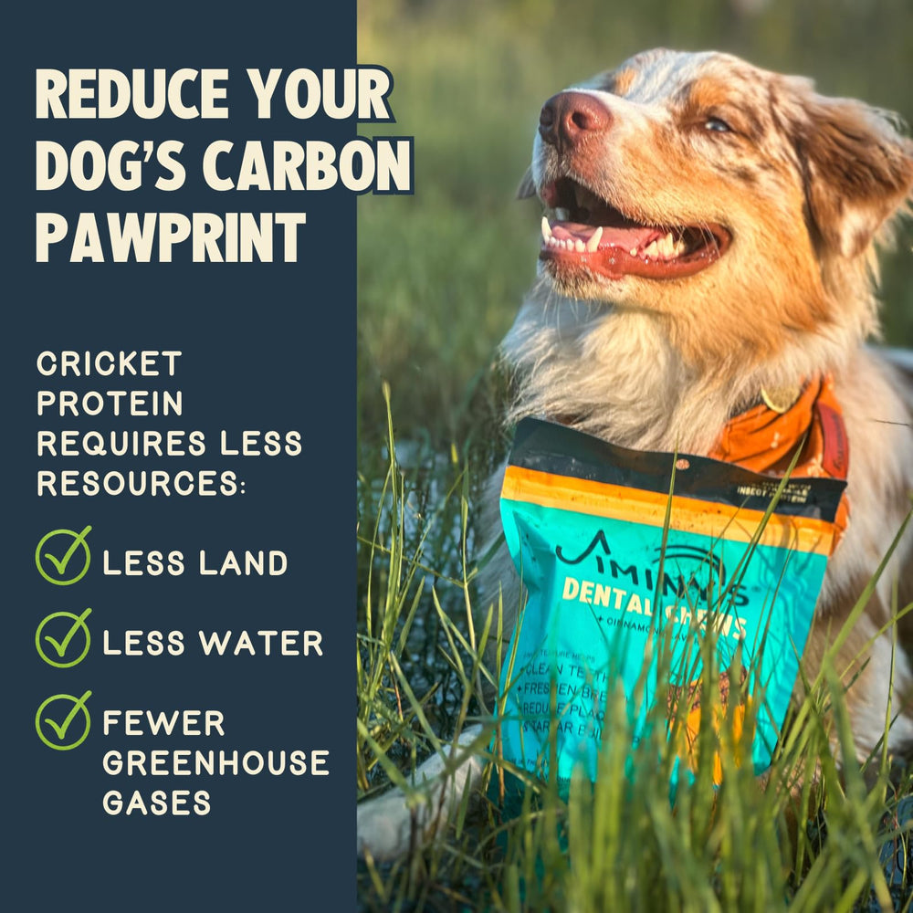 Jiminy's canela: opción apta para perros con alergias alimentarias.