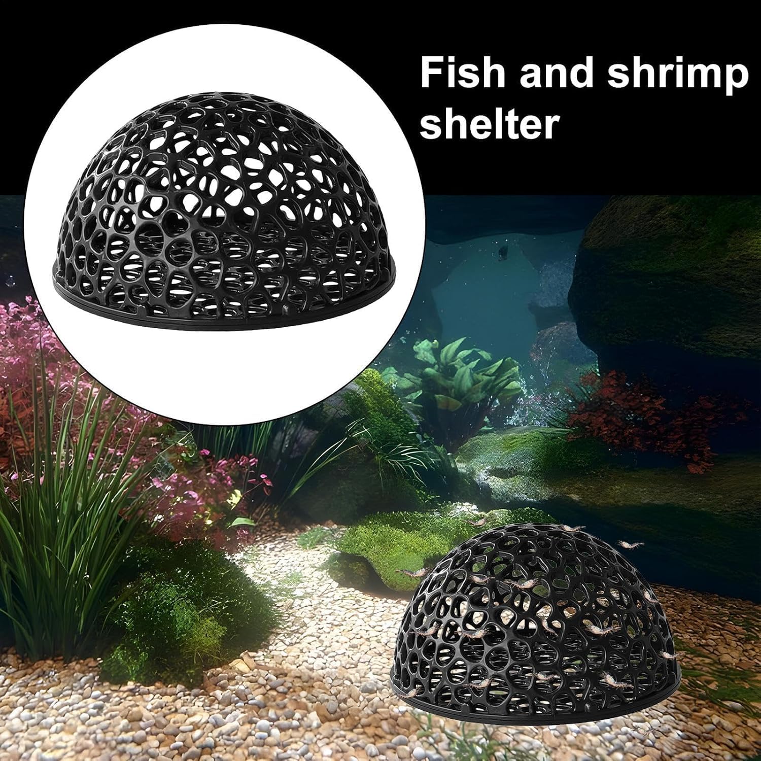 Cavidad oculta de JINJUMEI, ideal para mini peces y gambas.