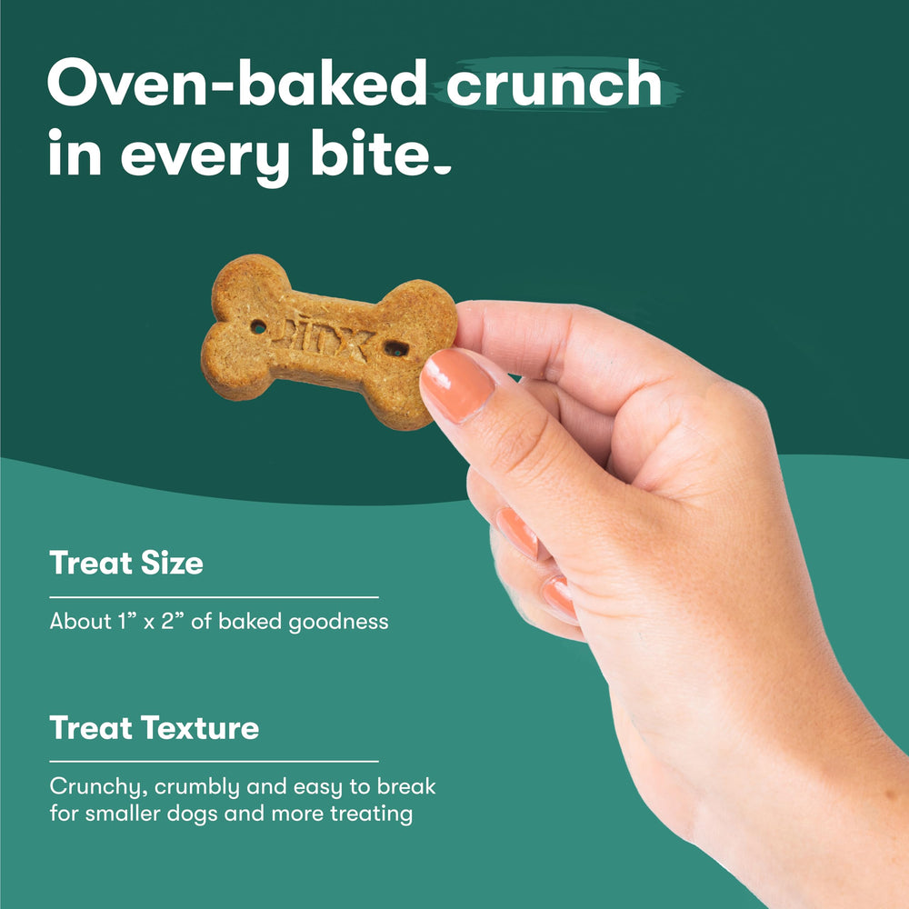 Empaque de 16oz Jinx, snack práctico para paseos