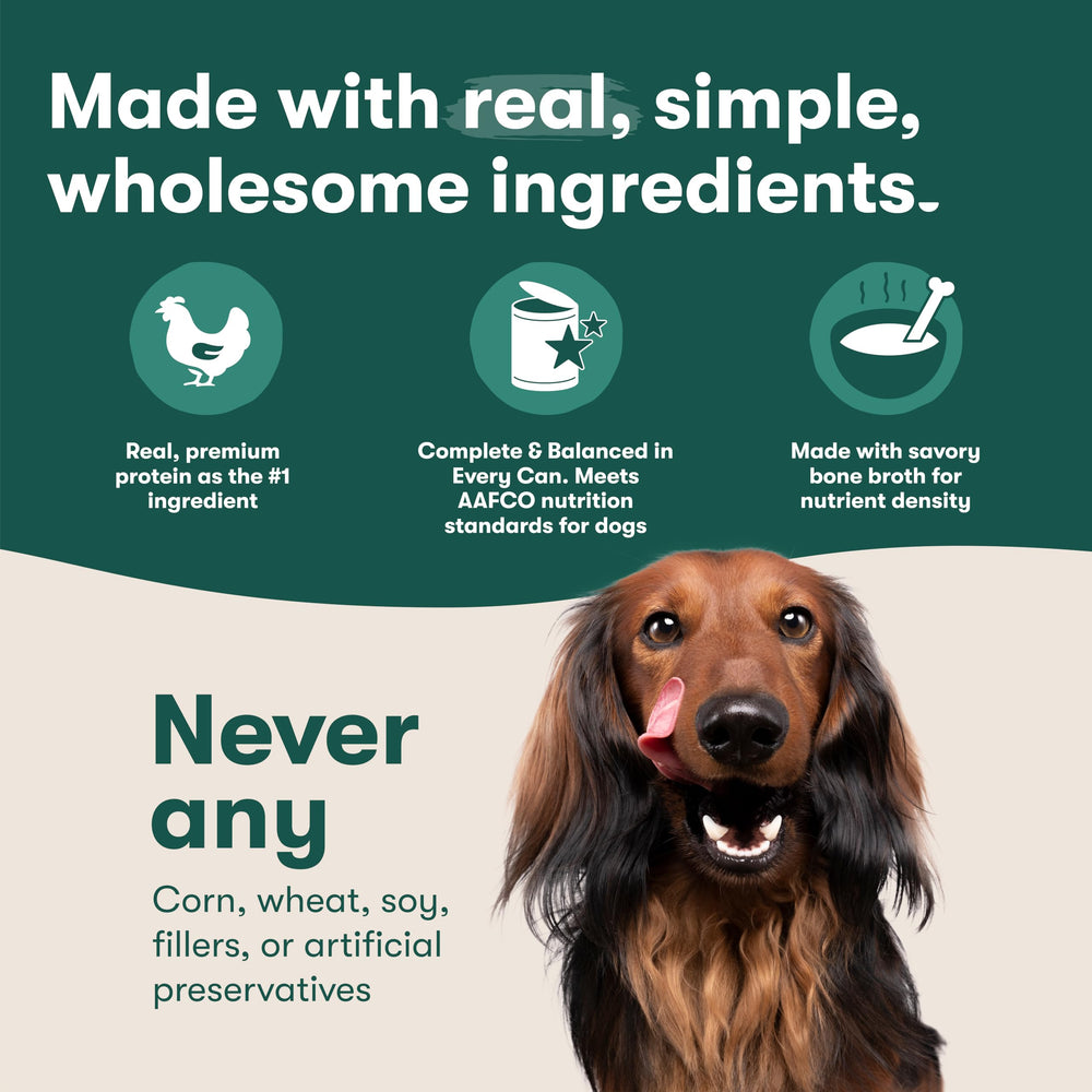 Jinx etiqueta sin cereales, opción natural para perros.