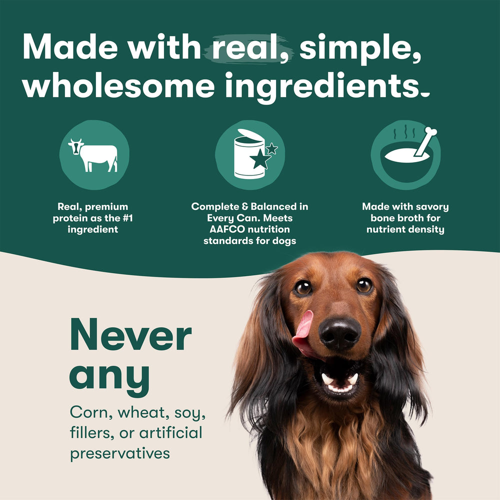 Jinx Latas Variedad Perro Pollo: opción conveniente para comidas diarias.
