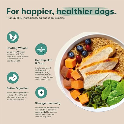 Jinx Premium Puppy sweet potato adds fiber for digestion and fullness