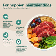 Jinx Premium Sweet Potato ingredients provide fiber for gut health.