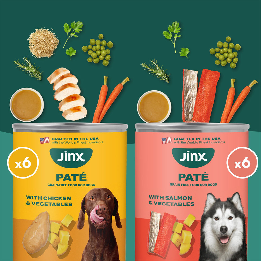 Textura húmeda de pate de salmón Jinx Premium, atractiva para el paladar canino.