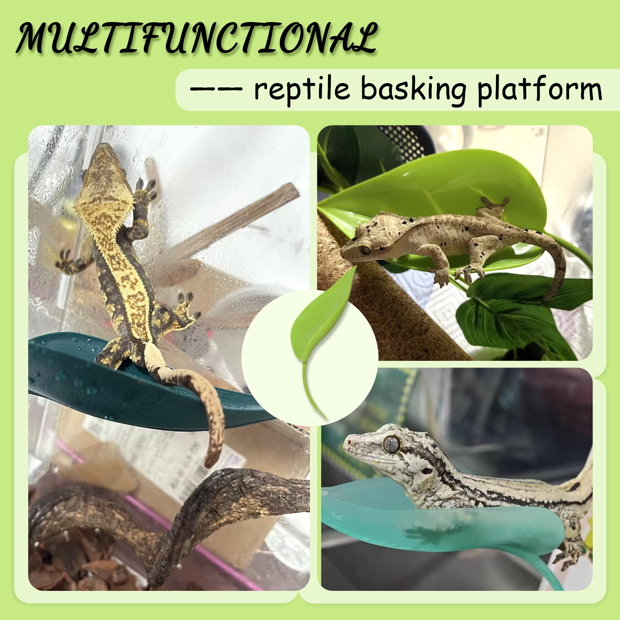 Accesorios para tanque gecko leopardo JJMOLLE para un hábitat completo