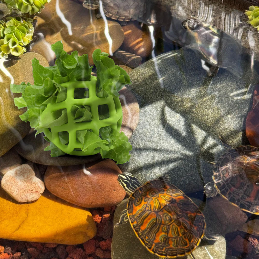 Bola JJMOLLE para carga rápida de vegetales y frutas para tortugas.