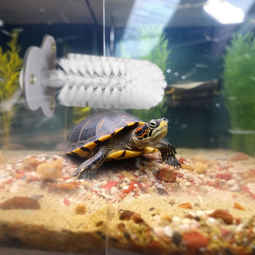 Cepillo JJMOLLE de diseño blanco, uso diario seguro para tortugas