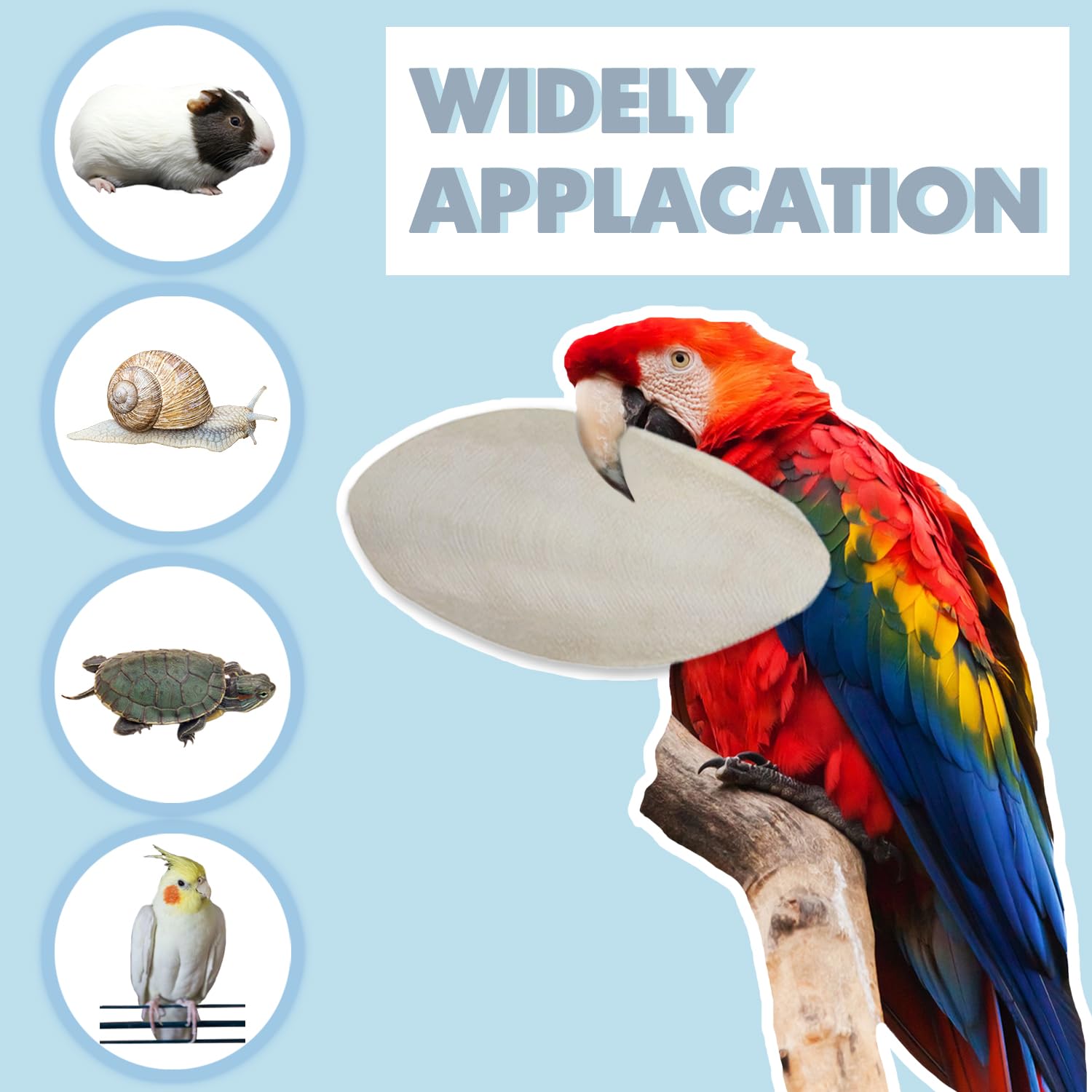 Jmxu's Cuttlebone minéral pour oiseaux, soutien global du calcium.