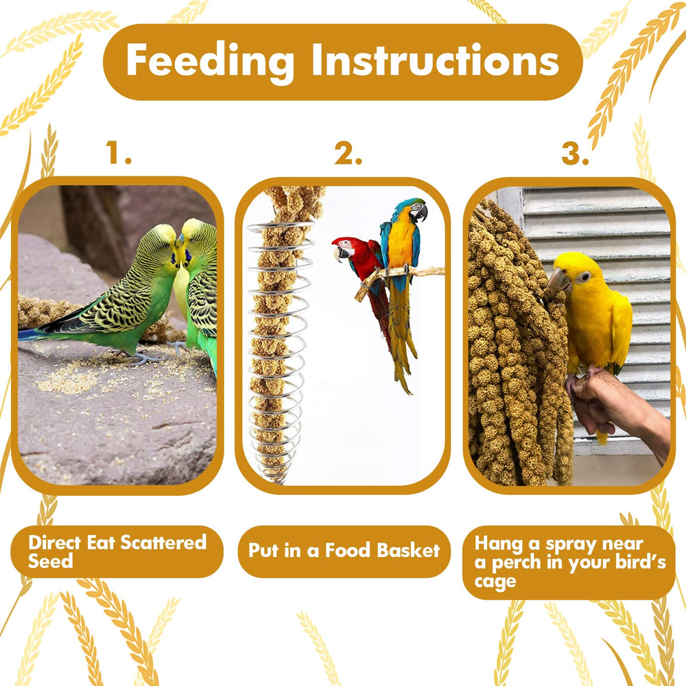 Jmxu's Millet Treat from natural, pesticide-free millet for birds.