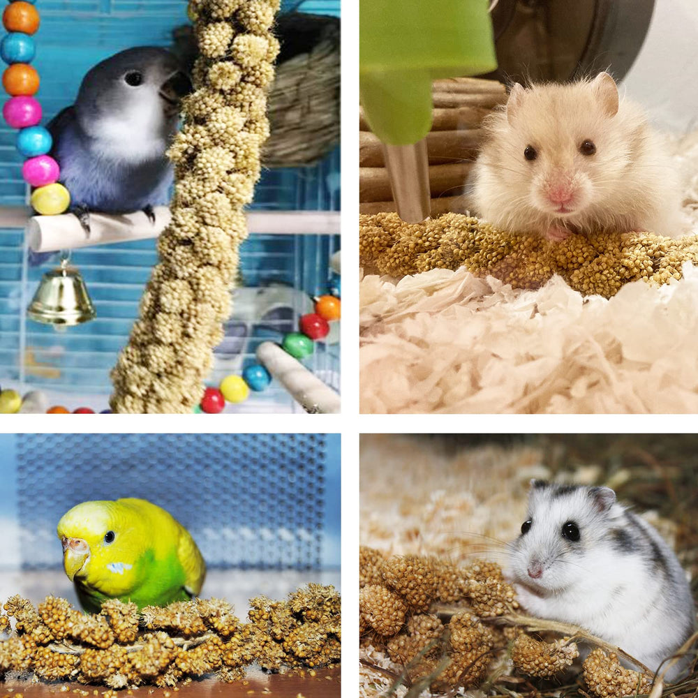 Jmxu's Spray Millet Treat offers an alkaline, easily digested snack.
