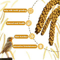 Jmxu's Millet Spray supports training through quick rewards for birds.