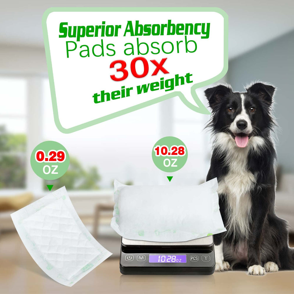 JOCCIK almohadilla absorbente canina, comodidad extra para áreas sensibles