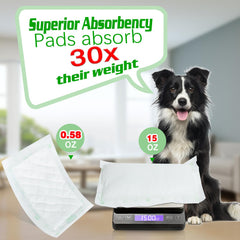 JOCCIK liner-perro-uso-diario ofrece confort y absorción diaria.