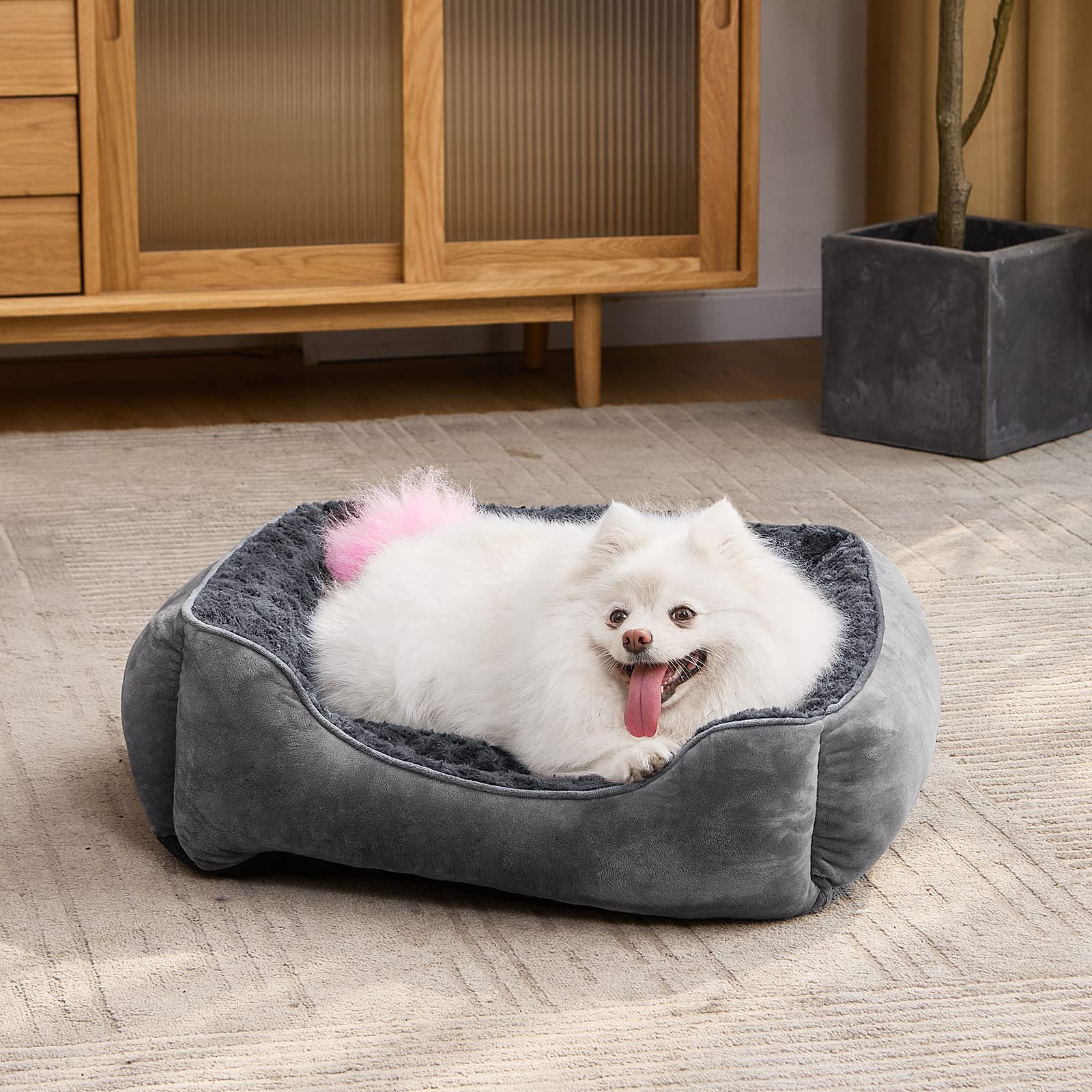 JOEJOY cama para perro rectangular, diferentes tamaños para razas grandes, medianas y pequeñas.