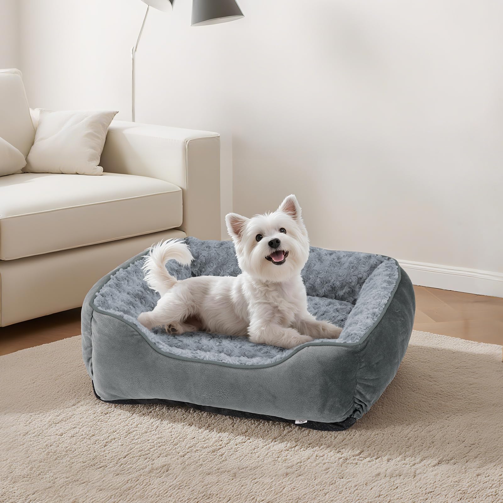 Disponibilidad de varios tamaños Joejoy para perros de distintas razas