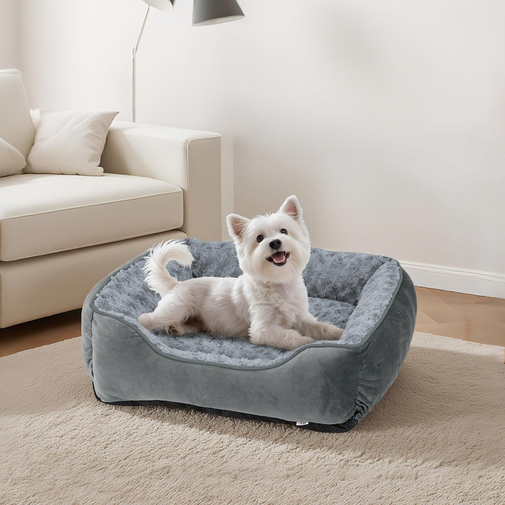 Disponibilidad de varios tamaños Joejoy para perros de distintas razas