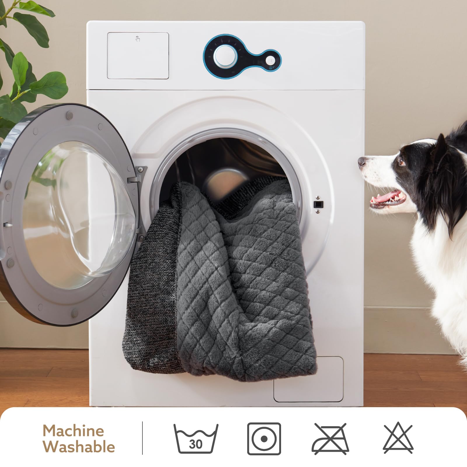 JOEJOY XL empaque al vacío, expansión rápida tras abrir