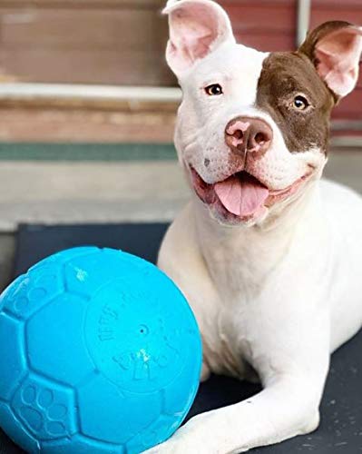 Balón fabricado en Estados Unidos, apoyo a refugios caninos.
