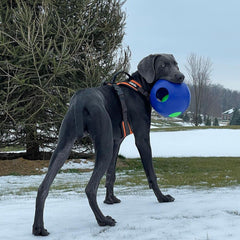 Jolly Pets bola rompecabezas exterior con agarre cómodo para manipular
